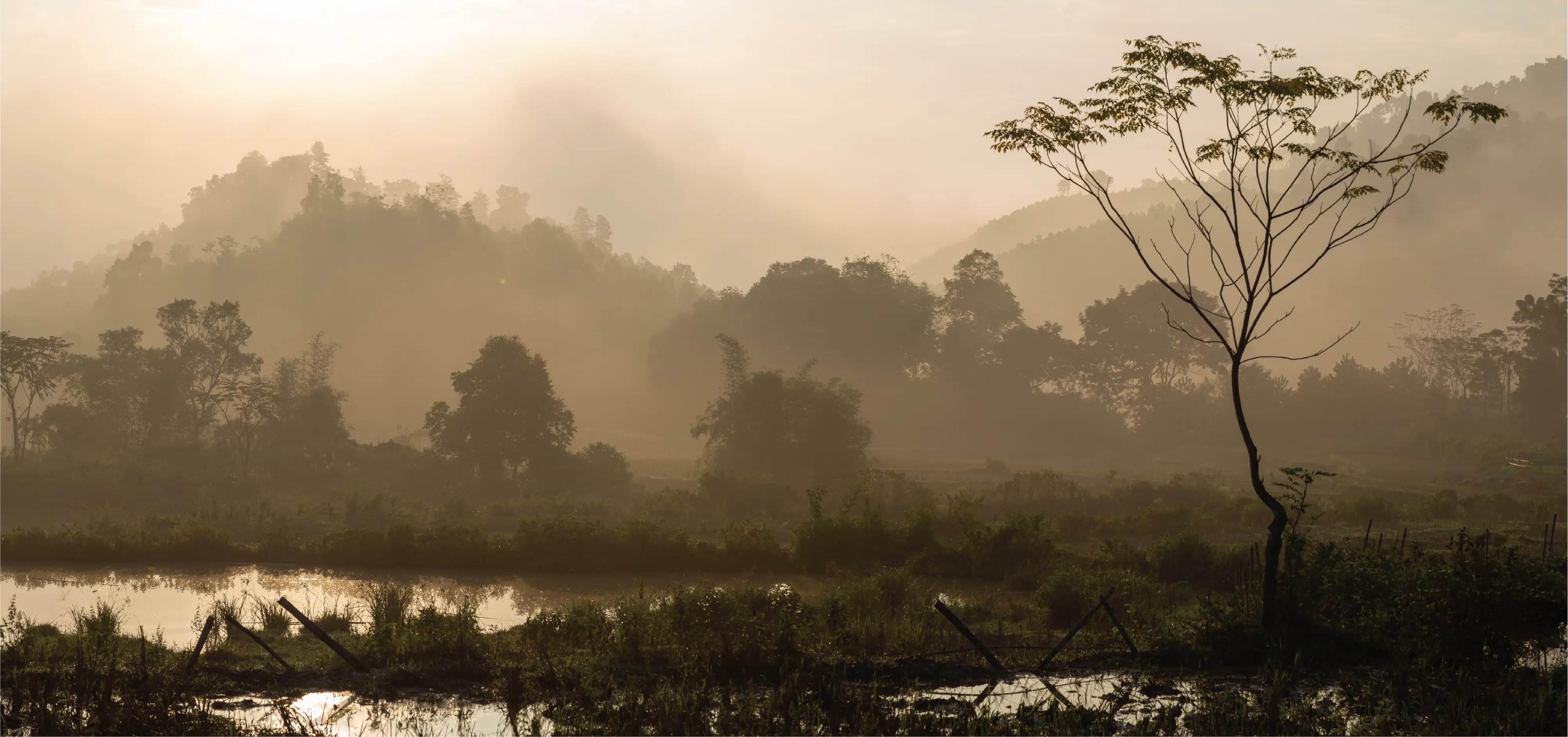 Khám phá khám phá dịch vụ lưu trú - Tân Hùng Village