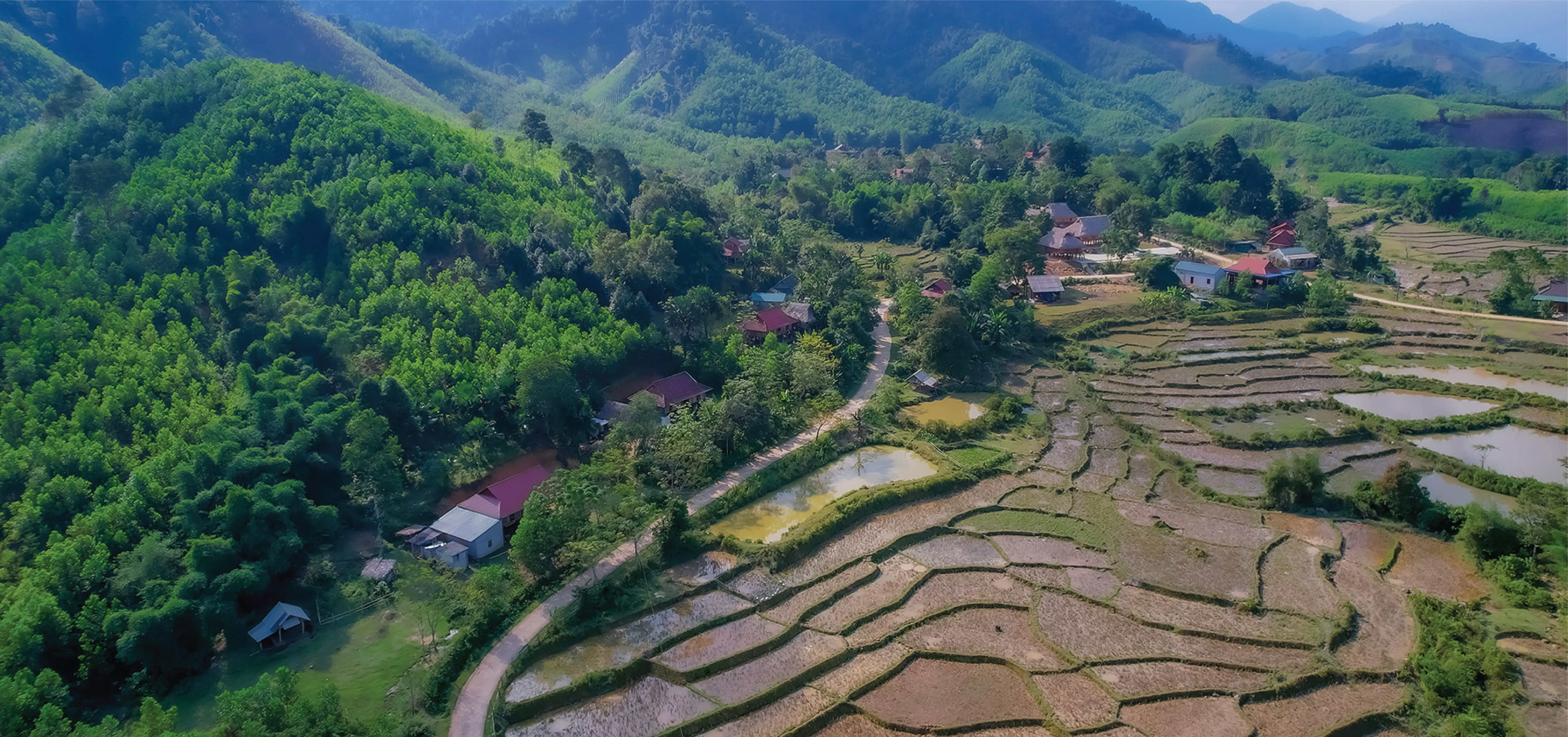 Những câu chuyện hấp dẫn của Tân Hùng