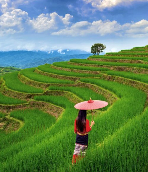 Hạng phòng